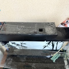 決定‼️現状渡し 60cm水槽 フルセットの画像