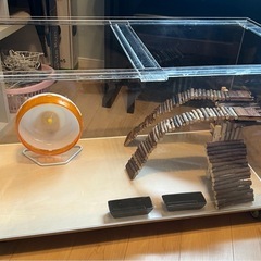 引き取りのみ　ハムスター　うさぎ　飼育ケースの画像