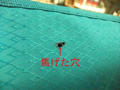 北海道のその他 現状品 折りたたみハンモック キャノピー付き グリーン 