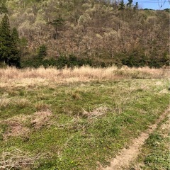 【空き地管理・草刈り】定期対応ご相談ください｜アグリサポー…