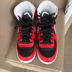 NIKEシューズ
の画像