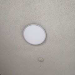 シーリングライト価格相談可能の画像