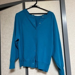 各
1000円（一枚につき1000円）レディーストップスの画像