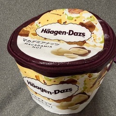 ハーゲンダッツ保冷バッグの画像