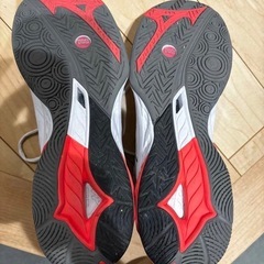 ミズノ　Mizuno ウエーブファング2 バドミントンシューズ 27.5cmの画像