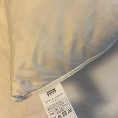 【美品】クッション&カバーの画像