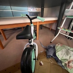 ゴーバイクデュオの画像
