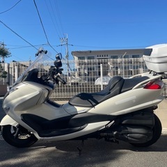 マジェスティ初期型250  4D9   の画像