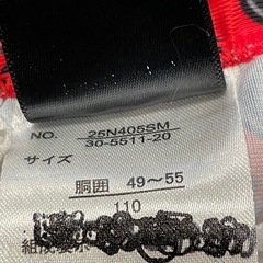 カーズスイムパンツ110の画像
