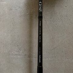 テールウォーク.大物キャスティング竿77HH.MAX160g.の画像