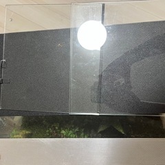 パルダリウム水槽の画像