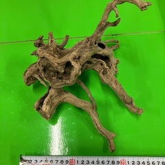 C流木の画像