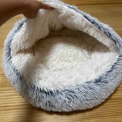 猫ベッド&キャットフードの画像