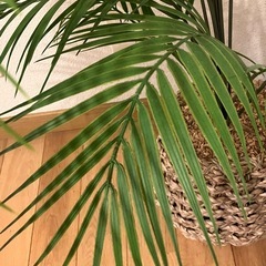 フェイクグリーン（高さ約70cm）人工観葉植物の画像