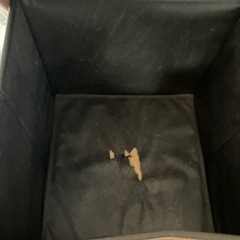 猫ハウスの画像
