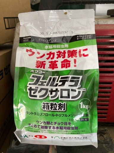 【引取り可能な方限定】栃木 コシヒカリ 苗 60箱 すぐ植えられる