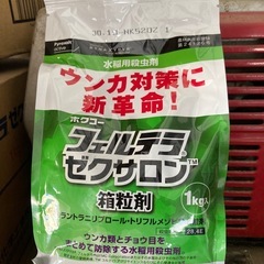 【引取り可能な方限定】栃木 コシヒカリ 苗 60箱 すぐ植えられるの画像