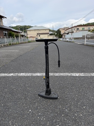 ブリヂストン 子供用自転車 リコリーナ 22インチ  E.Xティーンラベンダー ブリヂストン空気入れ付き