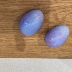 バードシリーズのエッグ（たまご）の画像