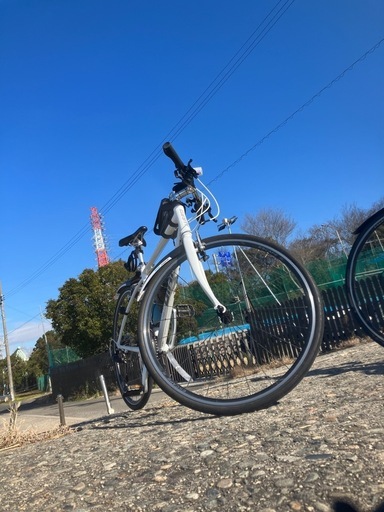 GIANT  escaper3 GIANT / ESCAPE R3 (2019年モデル) ② | セオサイクル南浦和店