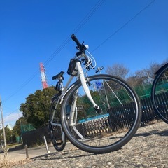 GIANT  escaper3の画像