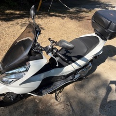 ホンダ PCX 125cc JF56 スクーター の画像