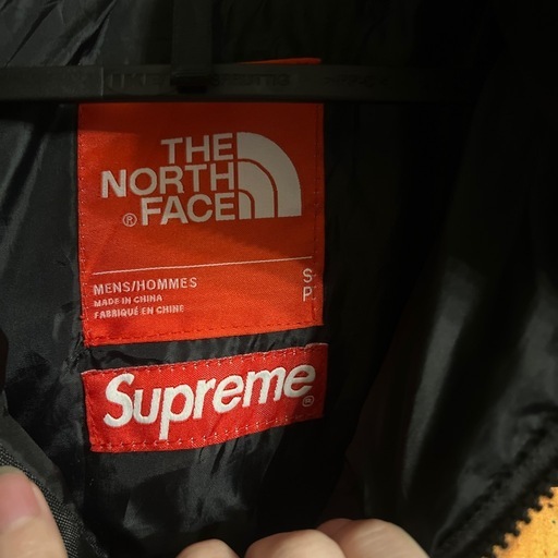 THE NORTH FACE ダウンジャケット リーフ柄
