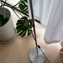室内ライトの画像