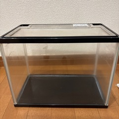 水槽の画像