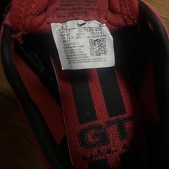 ナイキ SBZoom Blazer Low Pro GT の画像