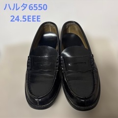 ハルタローファー6550(24.5EEE)の画像