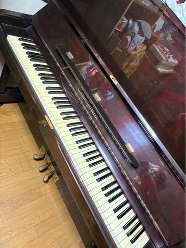 Schweizerstein（シュバイツァスタイン）