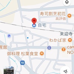 めだかの画像