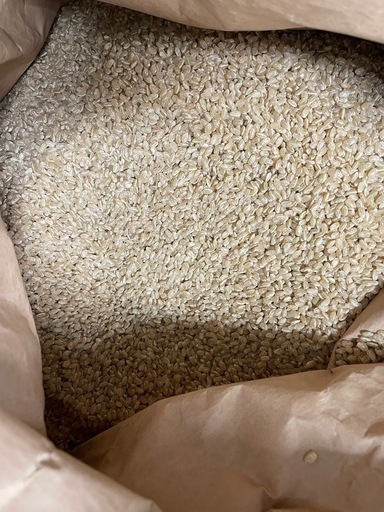 古古米　30kg 