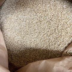 決まりました。　古古米　30kg
の画像