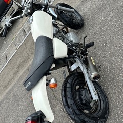 APE50  /プチカスタムの画像
