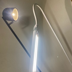 色々なライト　の画像