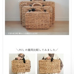 【つくば市】美品✨ ウォーターヒヤシンストランクバスケットM・Lサイズ2 個セットの画像