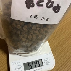魚のエサ おとひめ8号 【579g】半分以上ありますの画像