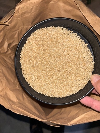 【完売】【5kgから可】栗原市産 令和6年産つや姫 精米可
