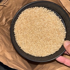 【残り100/150キロ】【5kgから可】栗原市産 令和6年産つや姫 精米可・玄米30kgありの画像