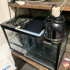 爬虫類用に使ってたゲージの画像