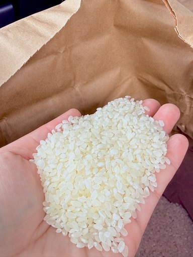 (精米済み)新鮮な白米 30kg
