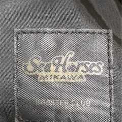 SeaHorses三河バックパックの画像
