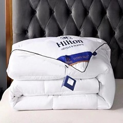 新品未使用　シングル　今の季節に　掛け布団の画像