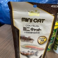 レプトミン　　ミニ　キャットの画像