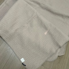 イブル素材絨毯　ベージュの画像