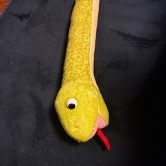 ハブ 嘘つきは噛んじゃうよー🐍の画像