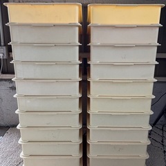 ばんじゅう(大)　番重　22個入りセット　R-333の画像