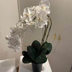 美品！豪華 大型 造花 胡蝶蘭 白 20輪以上の画像